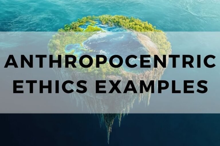 Everyday Examples of Anthropocentric Ethics in Action