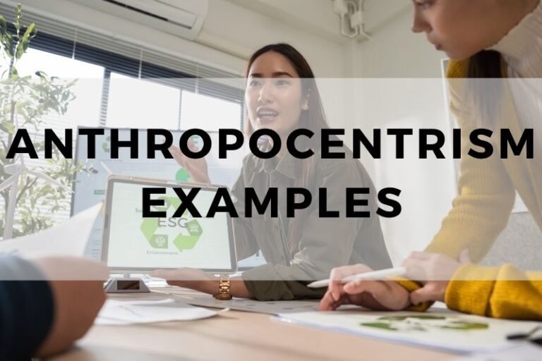 Striking Anthropocentrism Examples That Shape Human Thinking