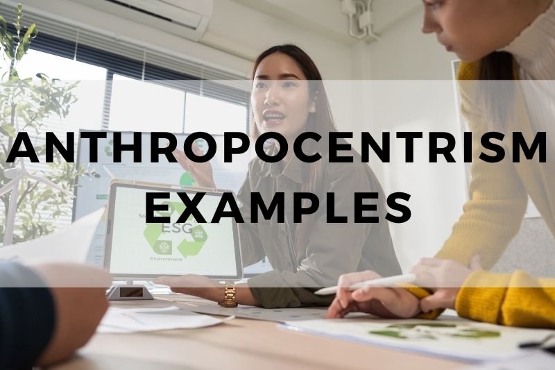 Anthropocentrism Examples