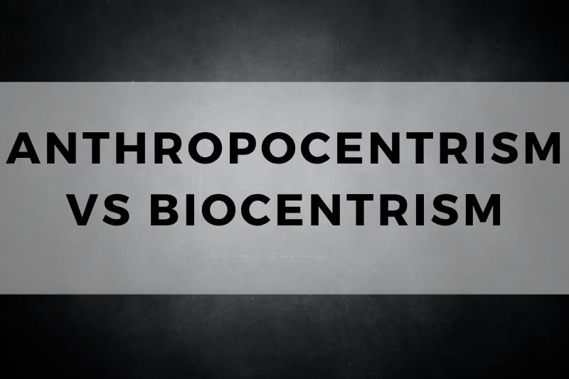 Anthropocentrism Vs Biocentrism