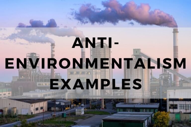 Shocking Anti-Environmentalism Examples That Shaped Society