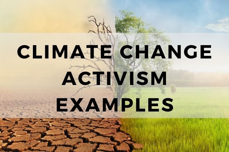 Climate Change Activism Examples