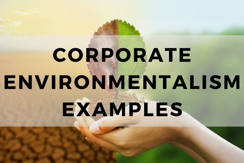 Corporate Environmentalism Examples
