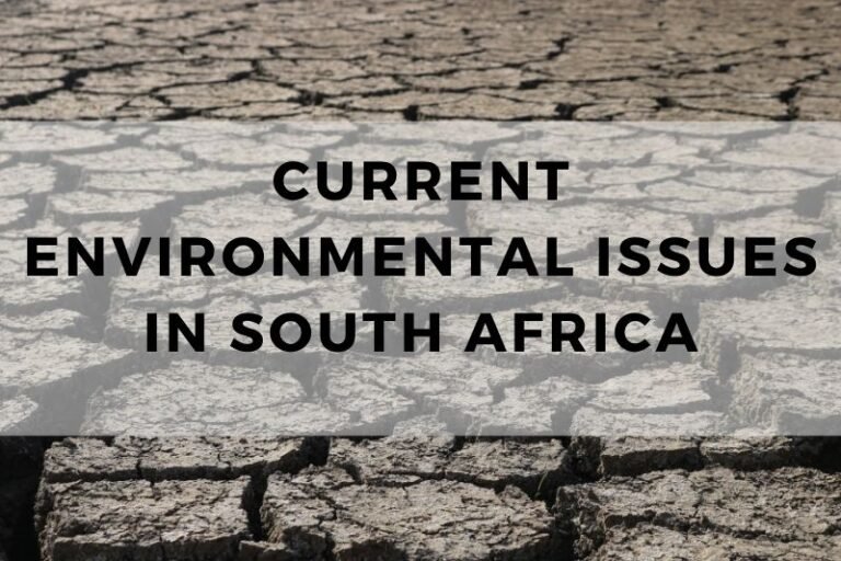 Exploring Current Environmental Issues in South Africa