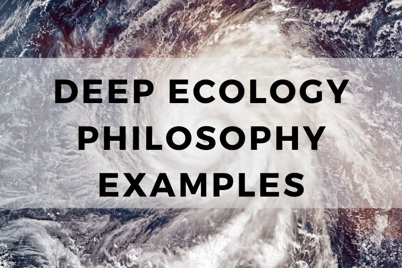 Deep Ecology Philosophy Examples