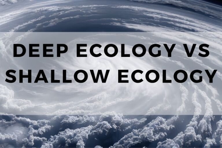 Deep Ecology vs Shallow Ecology: Analyzing Core Differences