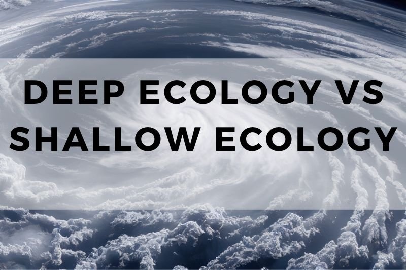 Deep Ecology Vs Shallow Ecology