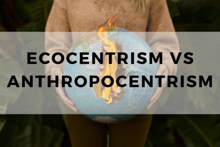 Ecocentrism vs Anthropocentrism: Competing Worldviews