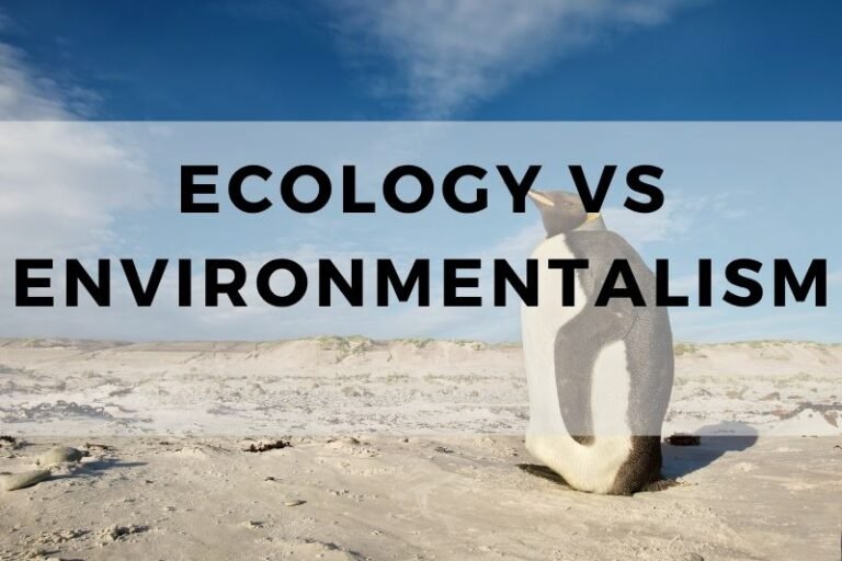 Ecology vs Environmentalism: Analyzing Their Differences