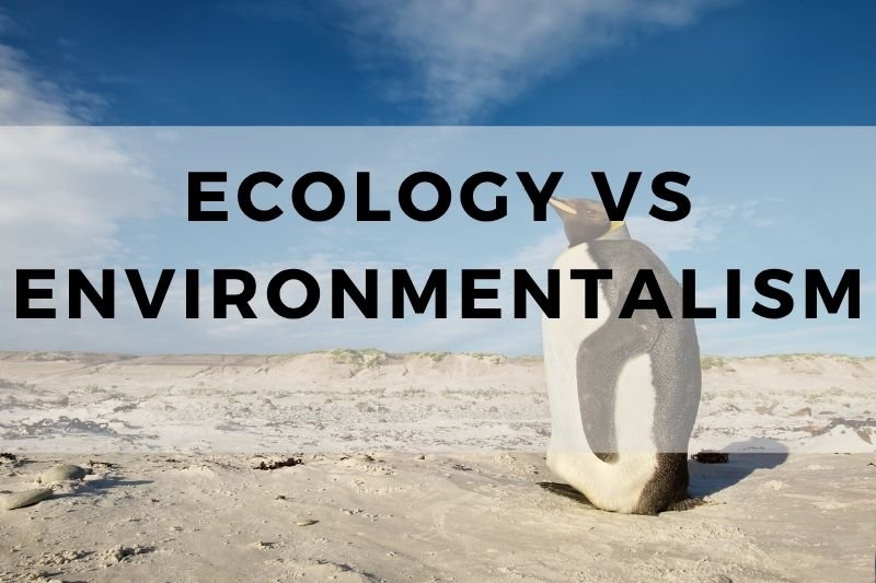 Ecology Vs Environmentalism