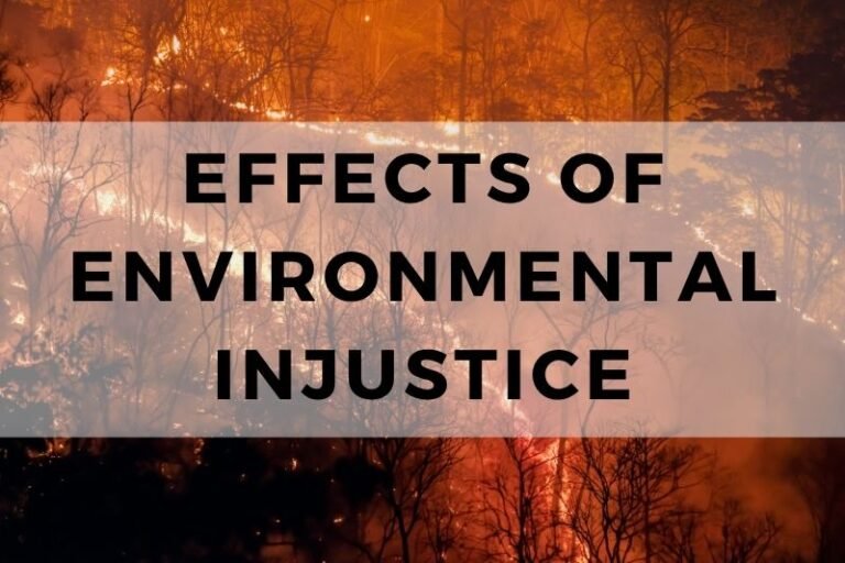 The Awful Effects of Environmental Injustice on Communities