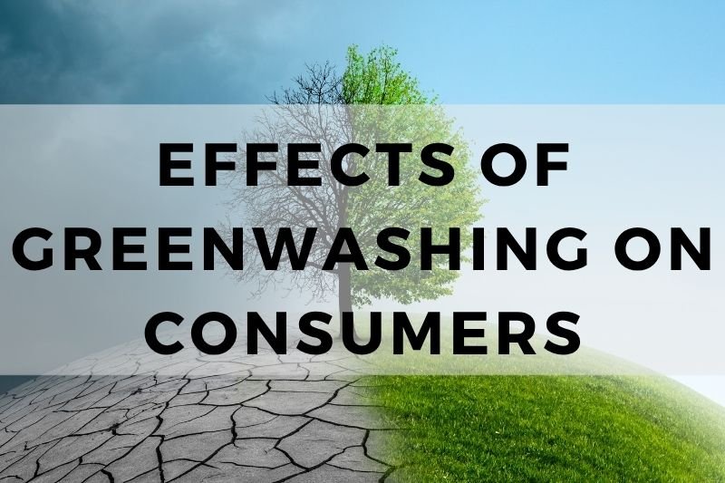 Effects Of Greenwashing On Consumers