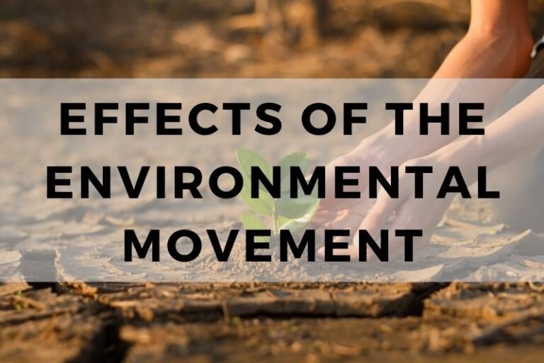 Analyzing the Effects of the Environmental Movement