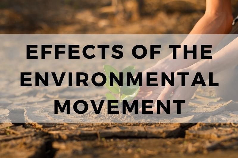 Effects Of The Environmental Movement