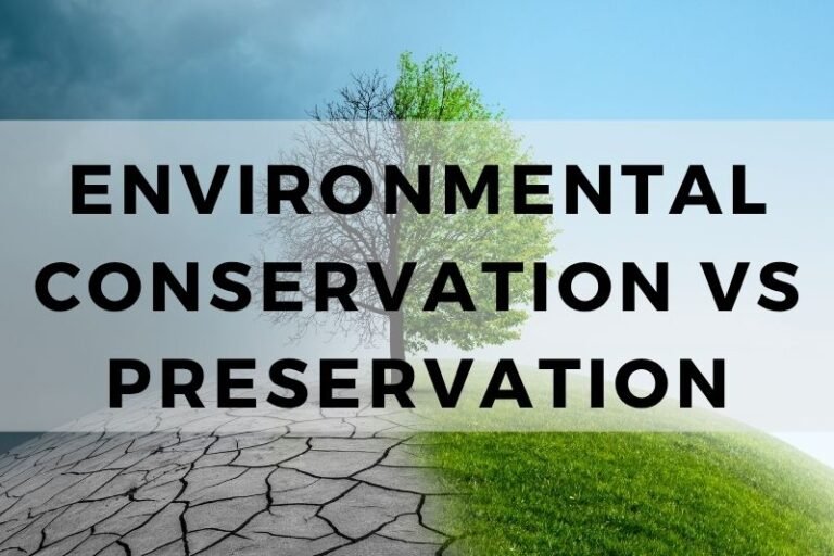 Environmental Conservation Vs Preservation