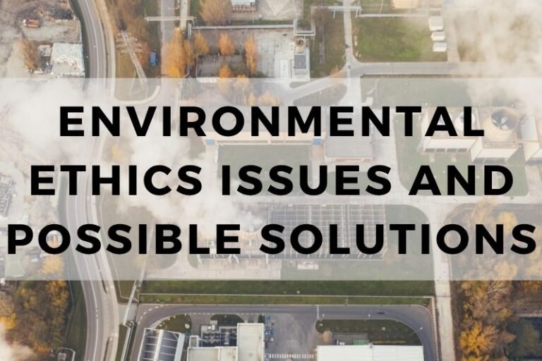 Environmental Ethics Issues And Possible Solutions