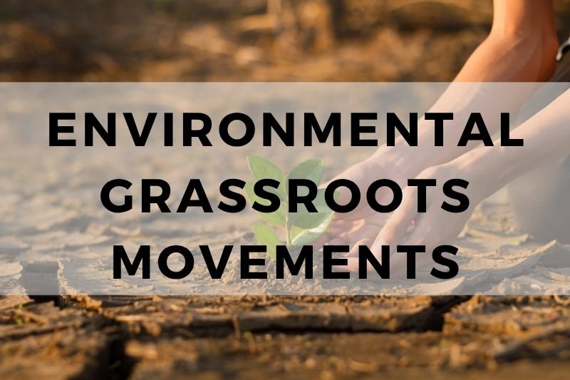 Environmental Grassroots Movements
