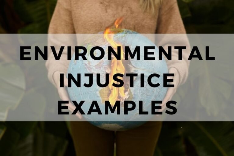 Environmental Injustice Examples