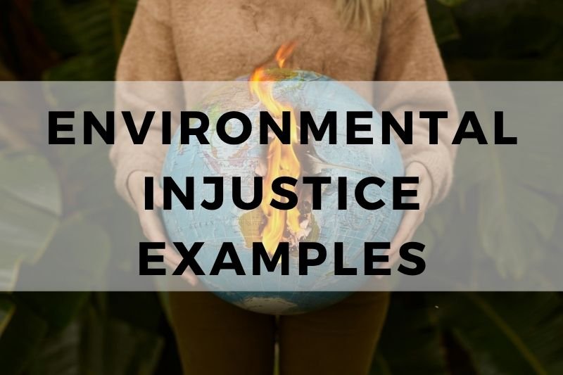 Environmental Injustice Examples