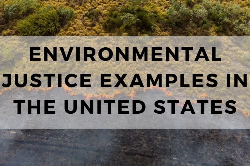 Environmental Justice Examples In US