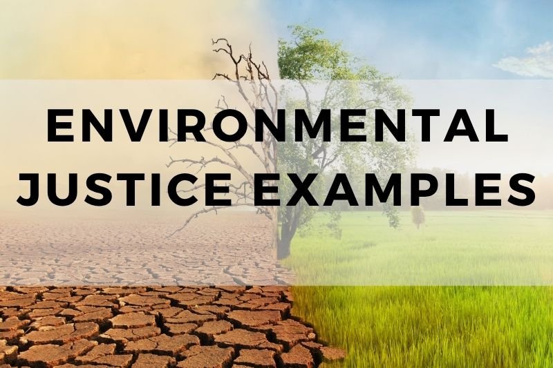 Environmental Justice Examples