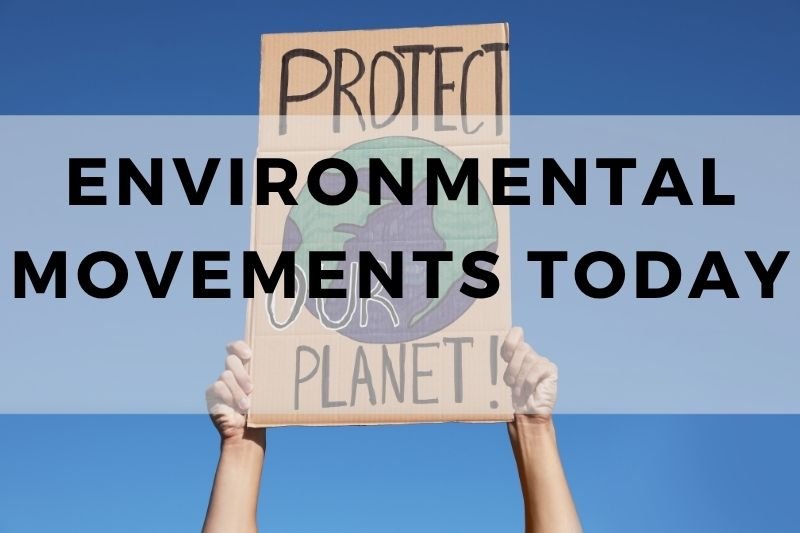Environmental Movements Today